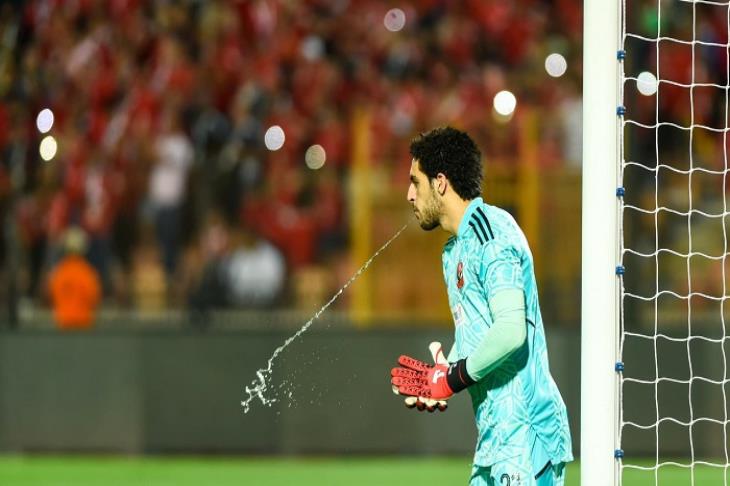 مصطفى شوبير